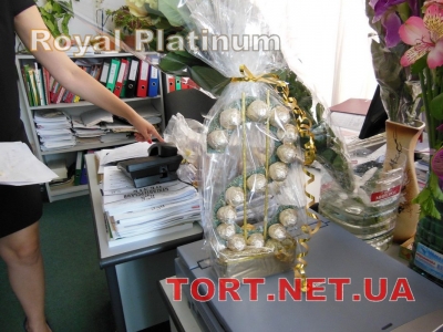 Фото отзывов о работе Royal Platinum_170