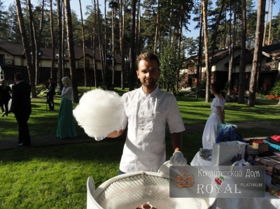 Фото отзывов о работе Royal Platinum_27