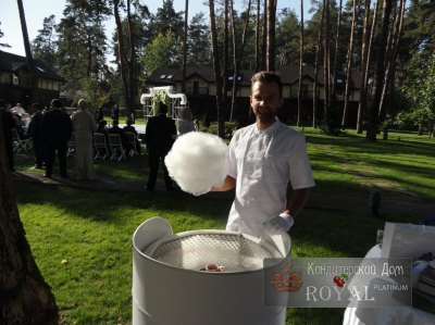 Фото отзывов о работе Royal Platinum_29