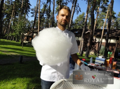 Фото отзывов о работе Royal Platinum_30