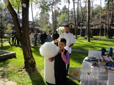 Фото отзывов о работе Royal Platinum_33
