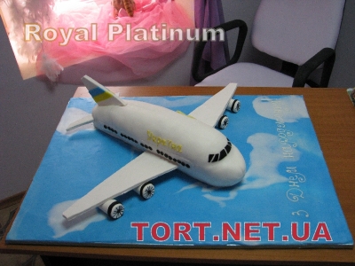 Торт Самолет_1