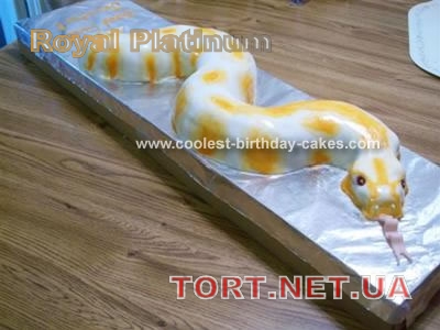 Торт Змея_145