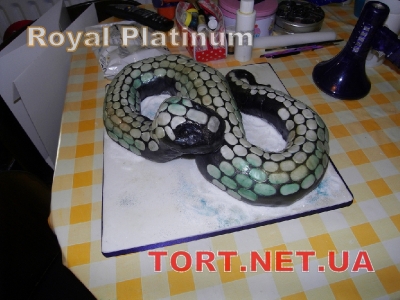 Торт Змея_47