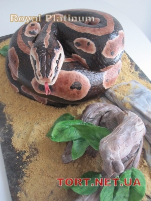 Торт Змея_71