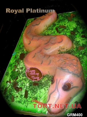 Торт Змея_73