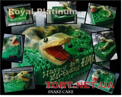 Торт Змея_80