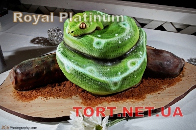Торт Змея_88