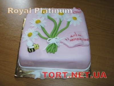 Торт на День рождения_16
