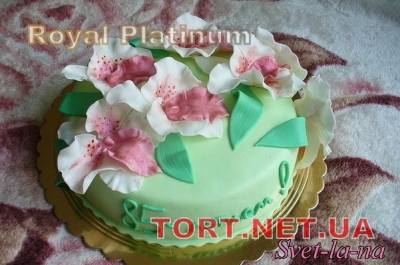 Торт на День рождения_45