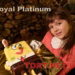 Фото отзывов о работе Royal Platinum_59