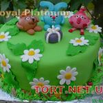 Торт Смешарики_90