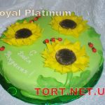 Торт с цветами_112