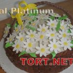 Торт с цветами_174