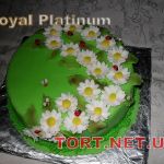 Торт с цветами_65