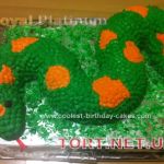 Торт Змея_250
