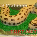 Торт Змея_51