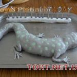 Звери и Птицы (Животные)