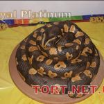Торт Змея_247