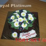 Торт Royal Platinum_723